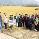 유금2리 이미지