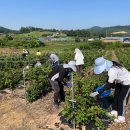 고창군보건소 이미지