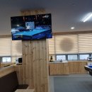 바젤빌리어드 이미지