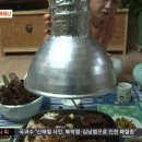 고기마니아 - 고양시 덕양구 충장로 2 | 고기마니아