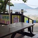 팽나무 펜션 | 대이작도 식당 카페 3곳 겐버니 풀등이야기 팽나무집