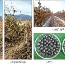 소만농장 이미지