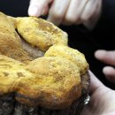 만복농장 이미지