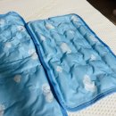 청운싸이언스 | 여름 쿨방석으로도 안성맞춤! 강아지 쿨매트 후기! (청운 아이스 쿨매트)