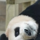 날마다 생일민박 이미지