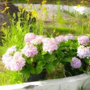 카페슬로우 이미지