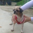 학창서림 이미지