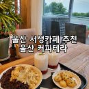 솔개공원 해루질 국산팥 눈꽃팥빙수 후기 울산 서생카페 커피테라