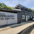 남성농장 | 청원염소농장 완전 맛있는 국내산 생고기 염소수육 30년 해썹농장 1등 판매자 직접 구매 후기