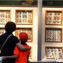 반디랜드 반딧불청소년수련원 이미지