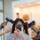 노벨리아 헤어 이미지