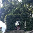 진리 | 대만 단수이 여행 후기, 홍마오청→진리대학교→단수이MRT공원