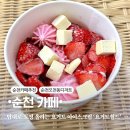 순천 디저트 카페 요거트월드 오천점 베리벨벳월드 후기