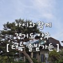 태능솔밭가든 이미지