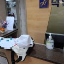 정가짜장 이미지