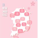 개화(아) 이미지