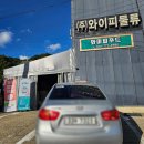 양평 가볼만한곳:) 경기투어패스로 와이피물류 고추장만들기, 그린망고 쿠키득템(ft.양평 아이랑)