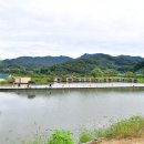 오궁낚시터 이미지