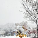 광명시립국궁장 이미지