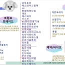 에스와이씨엠
