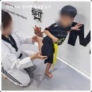 경희대 최강 MTA 태권도 이미지