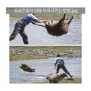 지이(G)모비스카 | 마음 편할 때 내 것 모두 담을 수 있는 곳