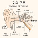 경희유엔한의원 이미지