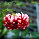 계월농장 이미지