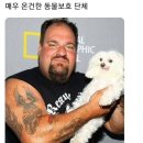 보기보다 아주 매우 온건한 동물 단체 이미지