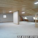 신흥오토마트 이미지