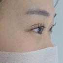 인천미추홀경찰서용오파출소 | 용현동 속눈썹 펌/연장 섬세하게 잘하는 "한올그리다"