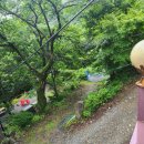 별천지펜션민박 이미지