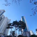 지에스(GS)25남악근화점 | [공지] 남악비올레베아체 아파트 임장후기