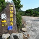 BABO글램핑 티스토리