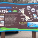 2026년 1월 13일(423차) 여수-아름다운 섬-소(송)여자도-대여자도 트레킹~~ 이미지