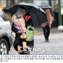 성바울로유치원 이미지