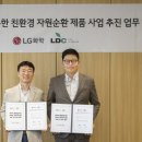 엘디 이미지