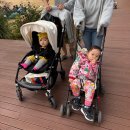 세컨더블비 | 유모차 연대기/오이스터3,타보,부가부비5,와이업,요요,씨티투어더블/추천유모차와 장단점 완벽정리...