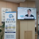 한양으뜸마취통증의학과의원 네이버블로그