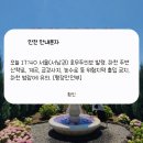 📂 7월 첫째 주 | 가리봉동 카페부터 서울숲 나들이, 소소한 집밥 기록