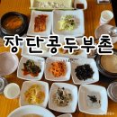 장단콩마을 | 찌개가 맛있는 장단콩두부촌 : 파주 헤이리마을 맛집 내돈내산 솔직후기
