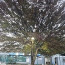 하늘농원 옆 이미지