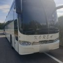 초록홀딩스 이미지