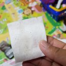 쉬었다가개 이미지