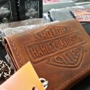 HM모터스 이미지