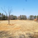 파크골프공원 파크골프장 이미지