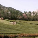 설록원 - 경주시 중앙로34번길 7 | 설록원