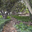 미카형 증기기관차 304호 이미지