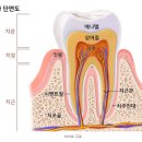 서울이안치과의원 이미지
