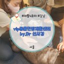 24시잠실ON동물의료센터 | vip한방재활센터 by.Dr 신사경 반려동물을 위한 전문 한방 및 재활치료